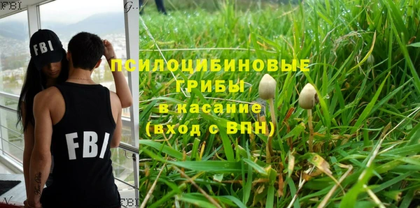 а пвп мука Арсеньев